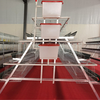 Cage de poulet nouvelle condition pour l'élevage de volailles en acier automatique de type A Cage de maison de batterie pour caille lapin oiseau cage d'animaux