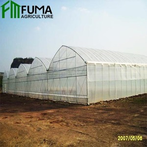 Serra Agricola Commerciale Intelligente a Basso Costo con Copertura in PE Multi-Span per la Crescita delle Piante - Product Image 2