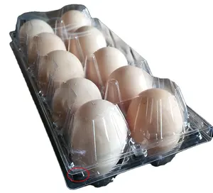 Professional Dongguan Qatar Egg Tray Machine Hebei