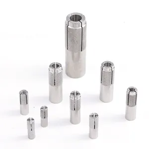 M8 M10 M16 Stainless Steel Ss304 Ss316 Ss316l Drop In Anchor For Box