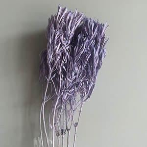 ดอกลียูคาเด็นดรอนวัสดุที่เก็บรักษาไว้สำหรับการจัดดอกไม้ในบ้านและตกแต่งงานแต่งงานวัสดุ2026ใหม่ - Product Image 3