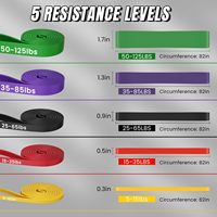 Bandas de Asistencia para Dominadas Personalizables OEM ODM, Juego de Bandas de Ejercicio Unisex para Todo el Cuerpo, para Entrenamientos en Casa y en el Gimnasio