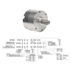 Crb2bw10 15 20 30 40 กระบอกสูบแม่เหล็กแรงขับสูงขนาดเล็กแบบหลายมุม ตัวเรือนอะลูมิเนียม แบบสองทิศทางชนิดแกว่ง - Product Image 5