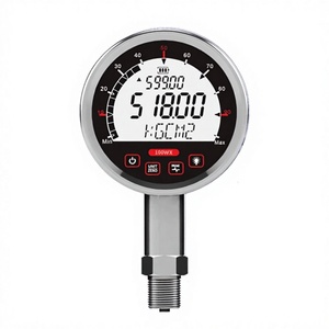 Manómetro de Presión Absoluta Hidráulico de Agua, Manómetro Digital de Acero Inoxidable, Resistente a Impactos, Alta Precisión, <span class=keywords><strong>200</strong></span> PSI o más - Product Image 4