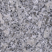 Chine rentable granit pierre pierre naturelle gris clair G602 granit escalier escalier granit marches d'escalier pour projet