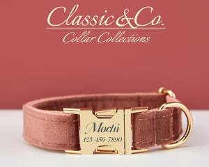 Conjunto de Collar y Correa Personalizados para Perro Arizona Vee con Diseño de Lazo de Flores, Placa con Nombre Grabada en Oro, Accesorio para Cachorros de Boda - Unisex - Product Image 2