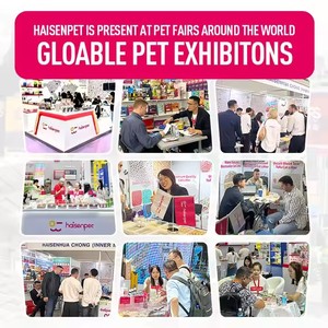 OEM ODM fabrika toptan açık havayolu onaylı köpek Pet seyahat taşıyıcılar - Product Image 5