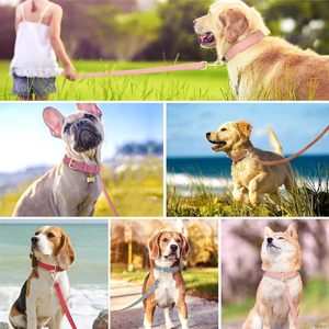 Ensemble en cuir PU rembourré doux Beirui, boucle en métal durable pour chien et collier, colliers pour animaux de compagnie respirants avec laisse de 4 pieds pour les petits - Product Image 6