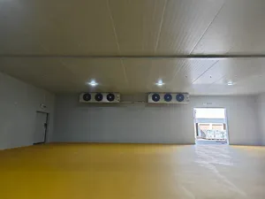 Cella frigorifera all'ingrosso certificata stella energetica a prezzi accessibili per la lavorazione della carne - Product Image 2