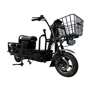 Vélo électrique de livraison classique 300 kg pour adultes, directement de l'usine de Wuxi, <span class=keywords><strong>prix</strong></span> abordable, batterie au lithium - Product Image 2