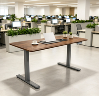Bureau d'ordinateur ergonomique à double moteur motorisé en métal, réglable en hauteur, pour la vente en gros