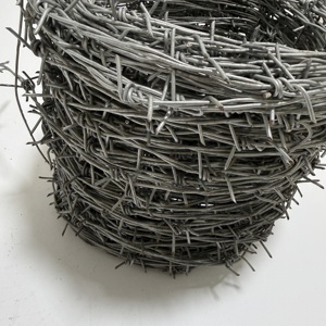 Alambre de púas galvanizado en caliente, <span class=keywords><strong>doble</strong></span> hebra, tipo <span class=keywords><strong>concertina</strong></span>, 2.5mm, para cercas de seguridad antiescalada y perímetros ferroviarios - Product Image 5