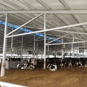 Groothandel Prefab Staalstructuur Melkkoeienstal Boerderij Verwerking En Productie Van Gebouwen Leverancier Koe Pluimvee Landbouw Boerderij