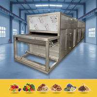 Machine automatique de séchage à bande de circulation d'air chaud Jujube Wolfberry Raisin Pruneaux Abricot Équipement de séchage