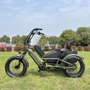 <span class=keywords><strong>Vélo</strong></span> cargo familial à assistance électrique 48v à double batterie, <span class=keywords><strong>vélo</strong></span> électrique à 3 roues avec <span class=keywords><strong>side</strong></span>-<span class=keywords><strong>car</strong></span> - Product Image 2