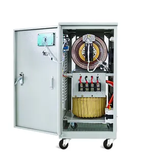 TTN Single Phase 220V SVC 10 KW 15KW 20KW 30KW Servo Motor Automatic Voltage Regulator Stabilizer