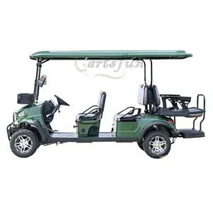 48V Electric Cart Electric Utility Vehicle 2 Seater Electric Golf Cart For Sale