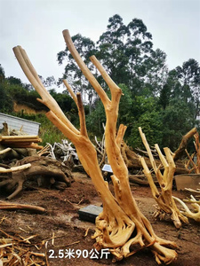 Aksesori Akuarium Kayu Apung Dekorasi Tangki Ikan Kayu Apung untuk Dekorasi - Product Image 6