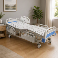 Lit médical multifonctionnel en ABS pour personnes âgées et patients, vente en gros d'usine