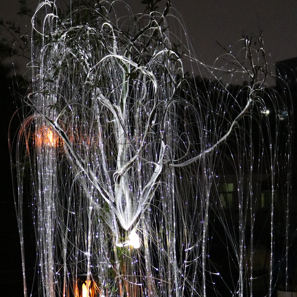 How to Choose the Best Sparkling Tree for Your Holiday Decor