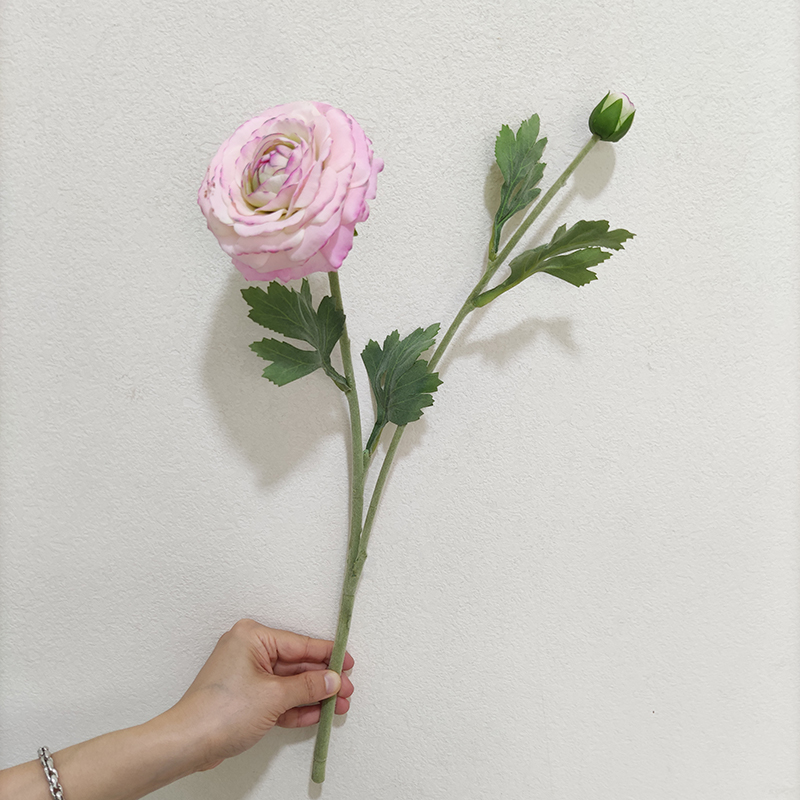 Pink 2