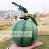 Idée de décoration d'été fruit artificiel réaliste imperméable à l'eau poids léger fausse pastèque avec tige pour la décoration de maison de ferme de manoir