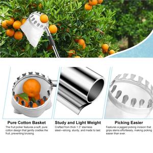 Cueilleur de fruits de qualité industrielle avec tige télescopique pour la cueillette des pommes et des prunes en hauteur, ensemble d'outils de cueillette de fruits de jardin - Product Image 6