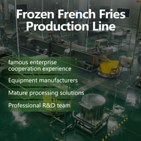 Línea de Producción de Papas Fritas de 2000 kg/h, Línea de Producción Automática de Papas Fritas Comercial