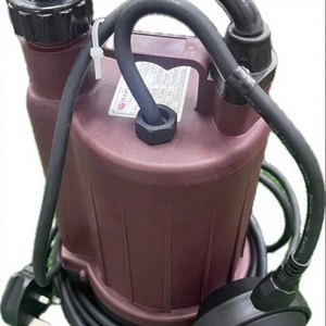 BOMBA DE AGUAS RESIDUALES AUTOMÁTICA SS SAMSON DE 1 PULGADA, 240V, 0.1HP, MONOFÁSICA, DE ALTA CALIDAD PARA HOGARES FAMILIARES, SALIDA DE 25MM - Product Image 1