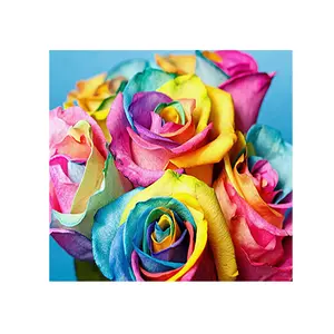 Bunte Rose 30x30cm runde Bohrer Wandmalerei Diy Erwachsene Kinder machen Diamant malerei