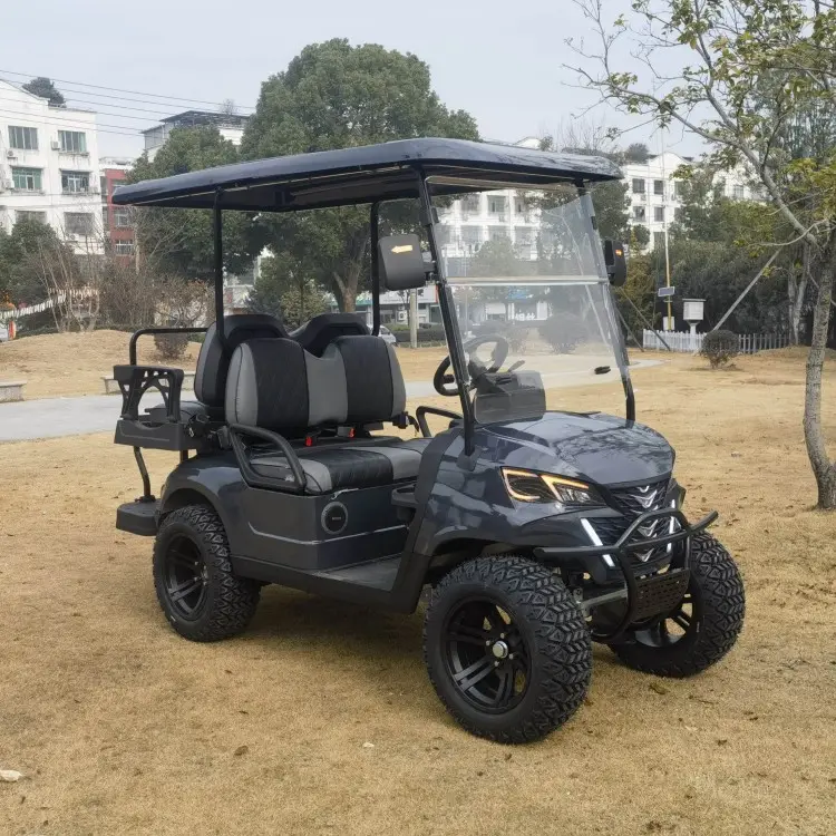 Vente en gros de voiturette de golf à moteur à essence 4 ou 6 places certifiée EPA/voiturette de golf à moteur à essence ou à moteur électrique