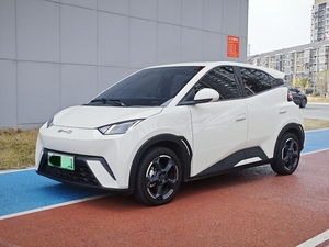 BYD Seagull 2023 Version Gratuite 305KM Véhicule Électrique Urbain Parfait pour les Trajets Urbains État Comme Neuf - Product Image 1