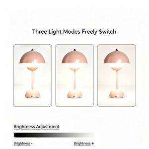 Portable <b>LED</b> Flowerpot <b>Table</b> Lamp Built‑in Battery Touch Dimmable Mushroom Night Lamp - Product Image 2