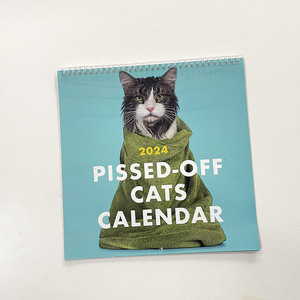 2026 Pissed-Off Cats admite decoraciones de escritorio personalizadas para personalizar calendarios - Product Image 6