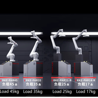 Robot collaboratif à 6 axes pour la logistique et l'automatisation des entrepôts, avec préhension flexible et déploiement facile