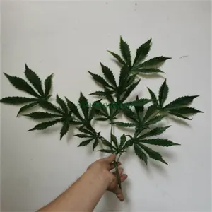 60cm high single branch simulation plant fake green plant plastic pot pot small pot landscape cannabis leaves DMZ02