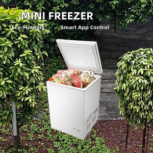 Mini Congelador Compacto Horizontal con Compresor, Congelador Profundo en Francés para Hogares Pequeños, Uso en Exteriores para Hoteles y Hogares - Product Image 2
