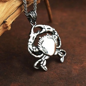 Collar con colgante de cangrejo plateado yunnique, joyería vikinga de acero inoxidable para hombre, cadena con colgante de diseño de animales en 3D, 60cm - Product Image 4