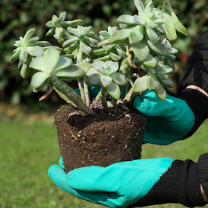 ถุงมือรักษาความปลอดภัยสำหรับงานสวนป้องกันการตัดแต่งกิ่งต้นกระบองเพชรดอกกุหลาบ - Product Image 6