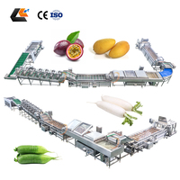 Machine de nettoyage de carottes 2000 kg/h, éplucheuse de légumes racineux, trieuse de tomates, machine à laver les fruits, ligne de pelage et de découpe de pommes de terre