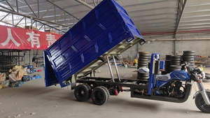 Tricycle Utilitaire Motorisé Benne 250cc 350cc à 2 Essieux et 9 Roues, Dumper <span class=keywords><strong>Moto</strong></span> Tricycle Cargo à Double Essieu Arrière et Neuf Roues - Product Image 5