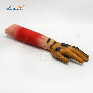 ชุดจำลองการบาดเจ็บขั้นสูง รุ่นแขน สำหรับฝึกการปฐมพยาบาล กรณี<span class=keywords><strong>แผล</strong></span>ไฟไหม้ ตัดขา ขาดแขนขา - Product Image 6