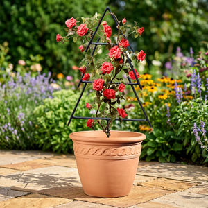 Pot de fleurs avec support en treillis métallique à motif corde pour roses grimpantes - Product Image 6