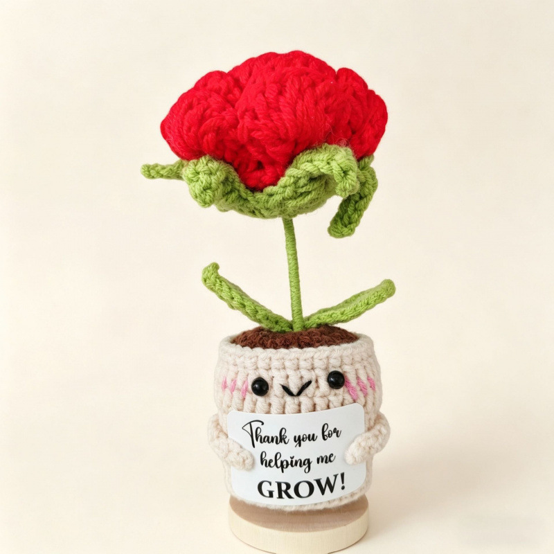 Planta de rosas en maceta 2
