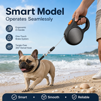 Laisse Rétractable pour Chien 5M, Résistante aux Chocs, Chaîne Légère en ABS, Conception Automatique pour Grands Chiens, Promenade en Extérieur