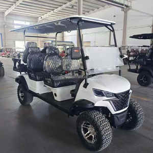 Đường phố thương mại hợp pháp 6 chỗ ngồi được phê duyệt đưa đón khách sạn & tuần tra an ninh 25 ° đồi Leo núi vận chuyển thiết bị nông nghiệp - Product Image 3