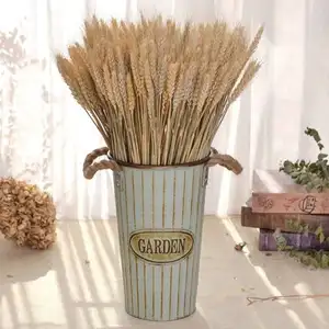 Hot Sale Getrocknete Weizen blume Hohe Simulation Natürliche künstliche trockene Gerste für Hochzeit Shop Home Decoration