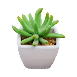Usine <span class=keywords><strong>pas</strong></span> cher en gros mini <span class=keywords><strong>cactus</strong></span> assortiment intérieur décoratif artificiel plantes succulentes dans des pots de - Product Image 2