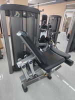 Équipement de musculation professionnel haut de gamme, vente en gros directe d'usine, extension de jambes