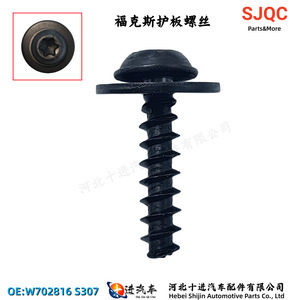 Vis de fixation pour pare-chocs et garde-boue Ford Focus W702816S307 en acier, tête fleurie T30, pièces de réparation - Product Image 2